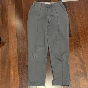 Everlane The Dream Pant in slate
